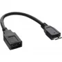 InLine Micro USB 3.0 OTG adapterio laidas Micro B kištukas į USB A lizdą 0,15 m