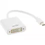 InLine Mini DisplayPort (vyriškas) / DVI-D 24+1 (moteriška) adapteris baltas, 0,15 m