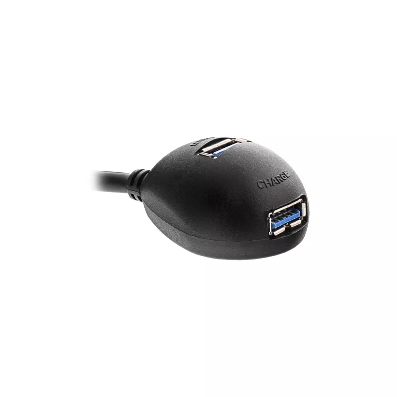 InLine USB 3.2 Gen.1 ilginimo laidas USB A kištukas / 2× USB A lizdas + stovas, juodas, 1 m