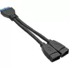 InLine USB 3.0 adapterinis kabelis vidinis 2x USB A tipo lizdas / pagrindinės plokštės jungtis
