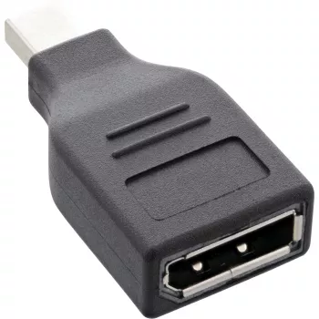 InLine DisplayPort adapteris, mini DisplayPort (kištukas) / DisplayPort (lizdas), 4K/60Hz