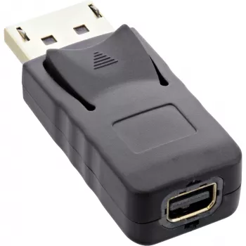 InLine DisplayPort adapteris, DisplayPort kištukinis / mini DisplayPort lizdinis, 4K/60Hz