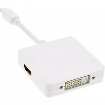 InLine Mini DisplayPort į HDMI DVI DisplayPort adapterio laidas 17195I