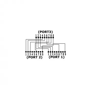 InLine Cat.5e skirstytuvas – dvi atskiros 10/100 Mbit jungtys per vieną RJ45 8P8C laidą