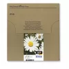 Kasetės Epson T1806 Easy Mail Packaging juoda, geltona, žydra, raudona