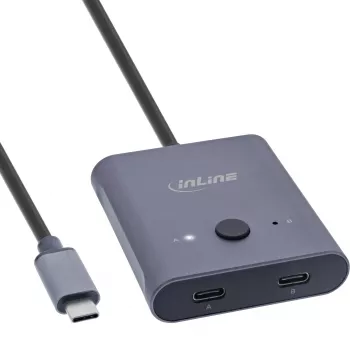 InLine USB-C jungiklis, dvipusis, 10 Gb/s, 100 W