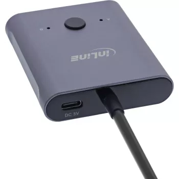 InLine USB-C jungiklis, dvipusis, 10 Gb/s, 100 W