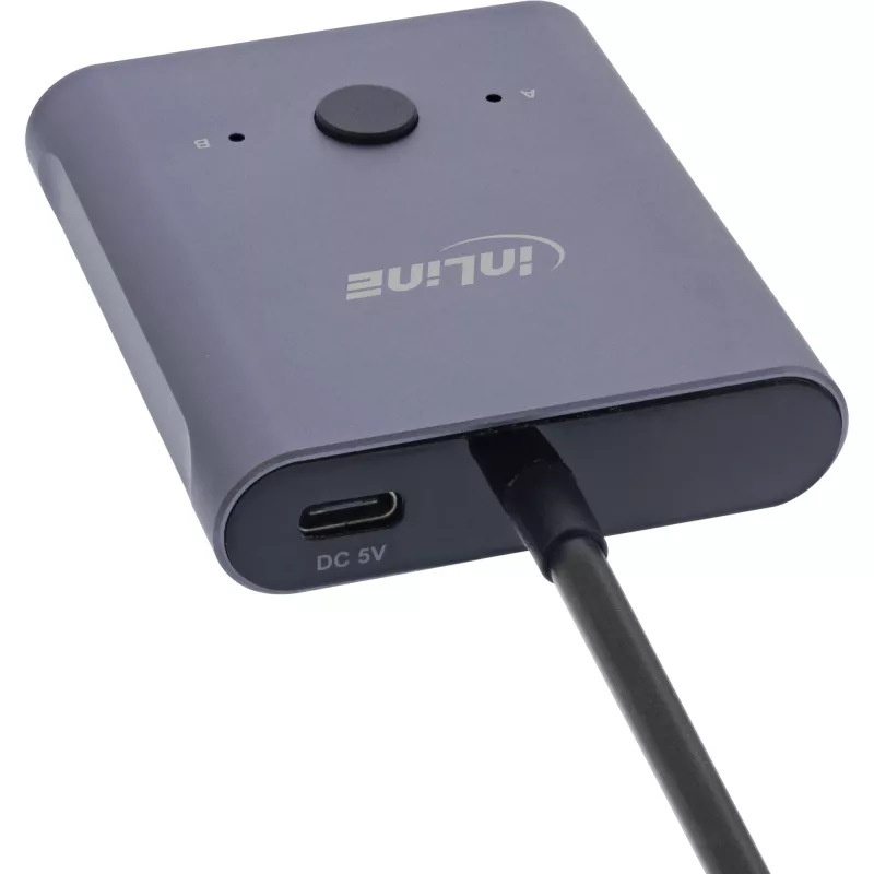 InLine USB-C jungiklis, dvipusis, 10 Gb/s, 100 W