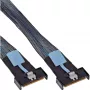 InLine 27661A SAS kabelis 0,5 m 24 Gbit/s juodos, mėlynos, pilkos spalvos