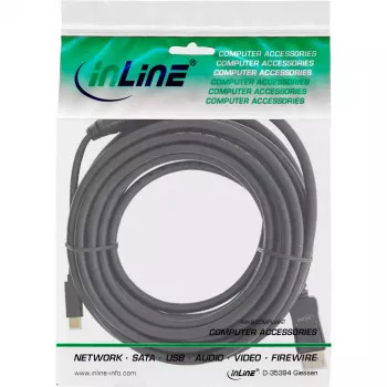 InLine USB-C į DisplayPort laidas, 2 m