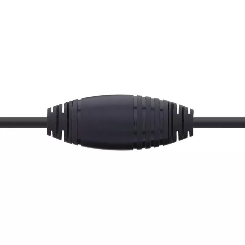 InLine USB-C į DisplayPort laidas, 2 m