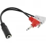 InLine Audio Plane adapteris ausinėms, 2x 3,5 mm M → 1x 3,5 mm F, 0,15 m