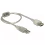 USB kabelis DeLOCK 82244 USB 2.0 0,3 m permatomas