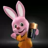 Duracell Plus C tipo šarminė vienkartinė baterija 1,5 V (2 vnt.)