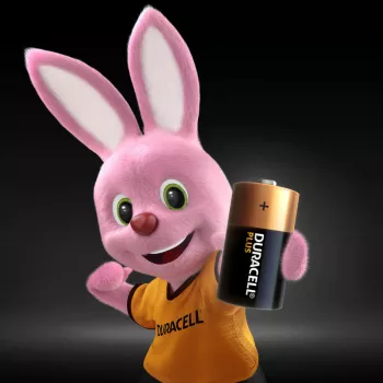 Duracell Plus C tipo šarminė vienkartinė baterija 1,5 V (2 vnt.)