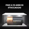Duracell Plus C tipo šarminė vienkartinė baterija 1,5 V (2 vnt.)