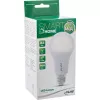 InLine SmartHome LED lemputė RGB E27, 900LM