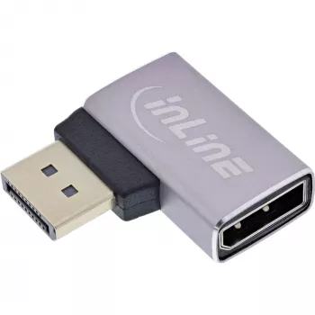 InLine 17291E lyties keitiklis DisplayPort pilka, juoda