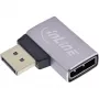 InLine 17291E lyties keitiklis DisplayPort pilka, juoda
