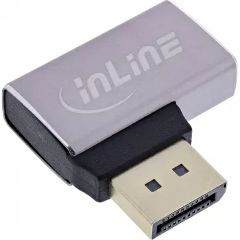 InLine 17291E lyties keitiklis DisplayPort pilka, juoda