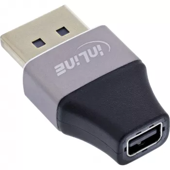 InLine 17291B lyties keitiklis DisplayPort Mini DisplayPort juodas, pilkas