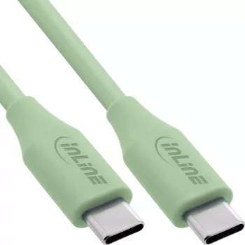 USB-C laidas InLine 35891G 1 m USB C Žalias USB 2.0 0.48 Gbit/s