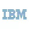IBM Node Canister atsarginė avarinė baterija (CRU) 00Y4643