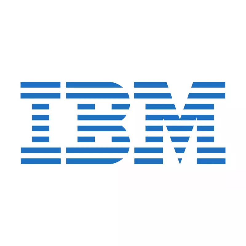 IBM Node Canister atsarginė avarinė baterija (CRU) 00Y4643