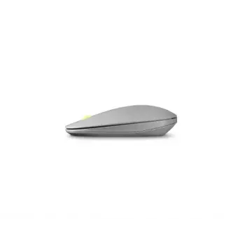 Acer Macaron Vero belaidė RF pelė 1200 DPI pilka