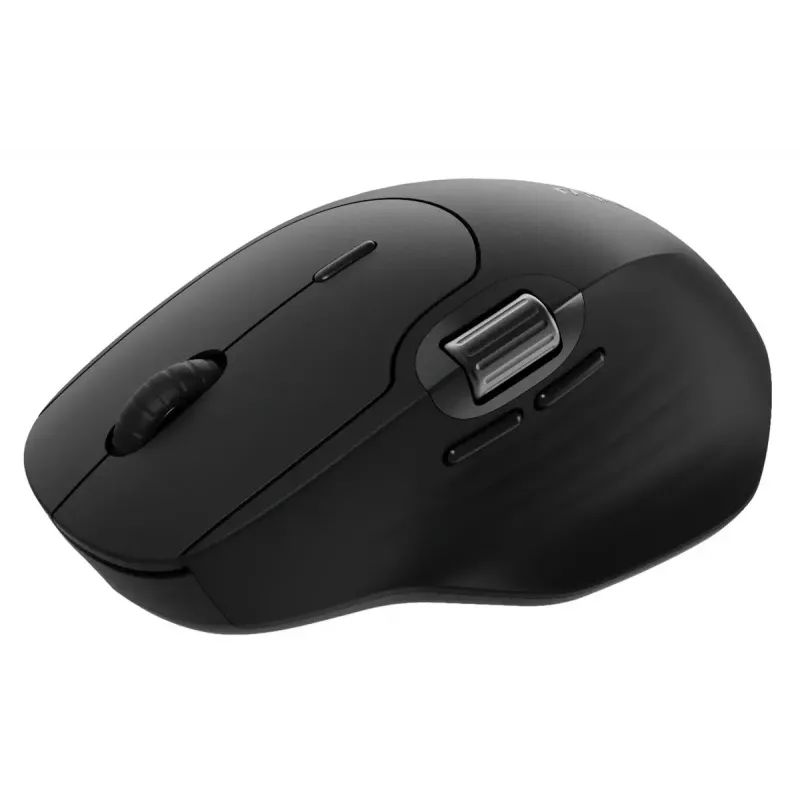 Rapoo MT560 belaidė pelė, didelė, ergonomiška, juoda