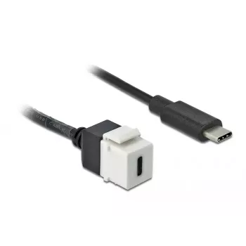 Keystone modulis DeLOCK 86399 plokščias juodas baltas USB C