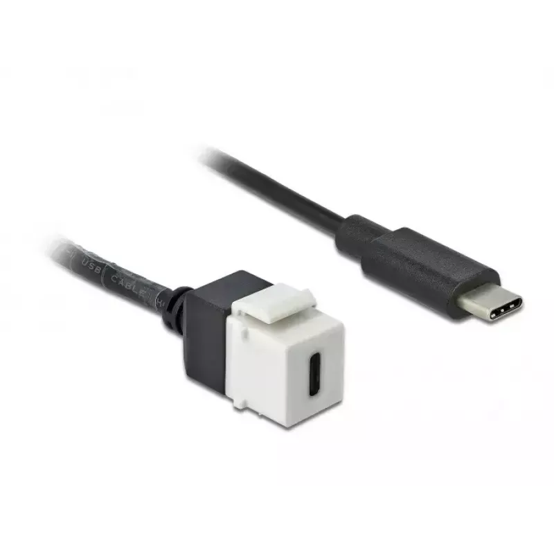 Keystone modulis DeLOCK 86399 plokščias juodas baltas USB C