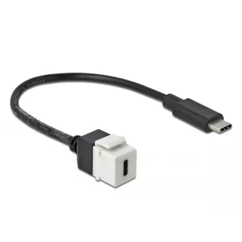 Keystone modulis DeLOCK 86399 plokščias juodas baltas USB C