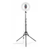Žiedinis apšvietimas Hama SpotLight Steady 120 III 160 LED 1020 lm 3000 K