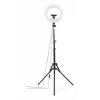 Žiedinis apšvietimas Hama SpotLight Steady 120 III 160 LED 1020 lm 3000 K