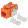 Intellinet Keystone Jack, Cat6, UTP, Punch-down, Oranžinė