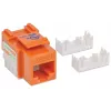 Intellinet Keystone Jack, Cat6, UTP, Punch-down, Oranžinė