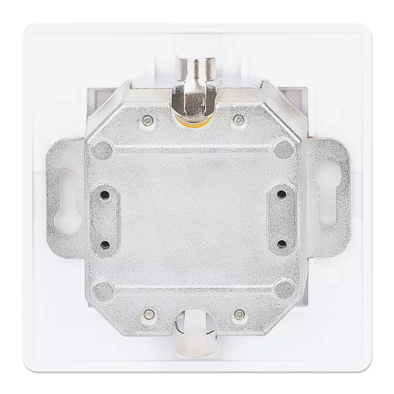 Intellinet 2 prievadų Cat6 10G ekranuota RJ45 sieninė plokštė su dangteliu, STP, signalinė balta RAL9003
