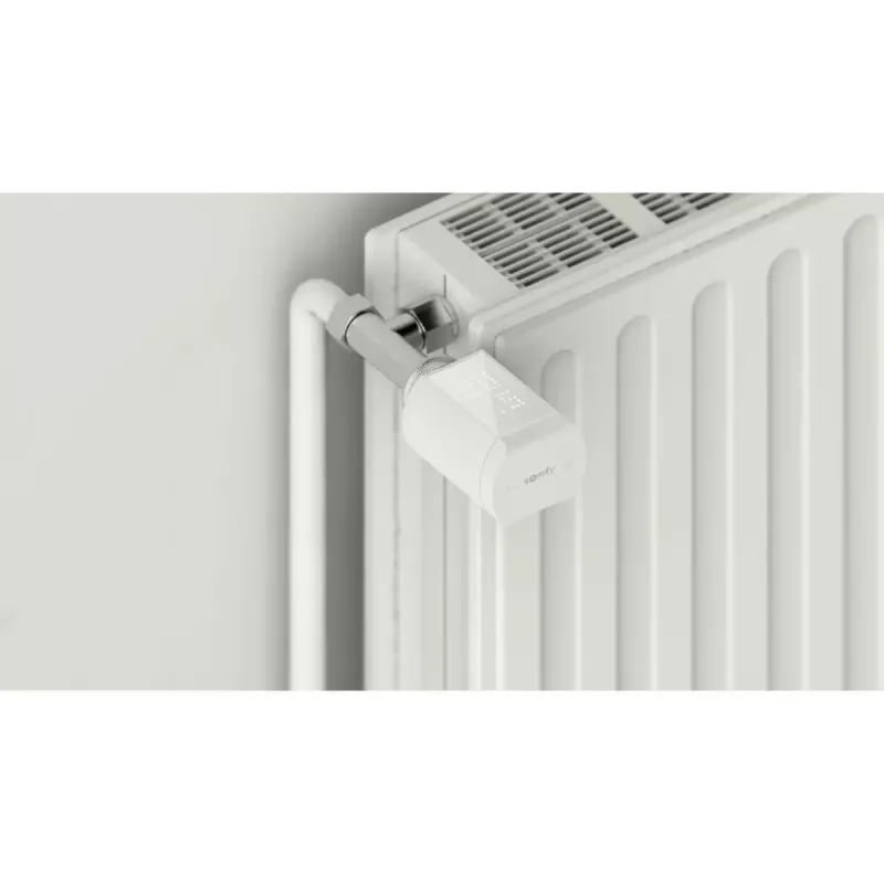 Termostatinis vožtuvas Somfy 1870508 io connected