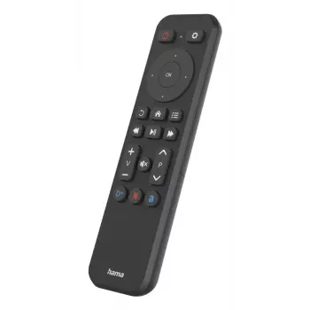 Pultelis Hama 00221050 IR belaidis TV 21 mygtukų 10 m nuotolis