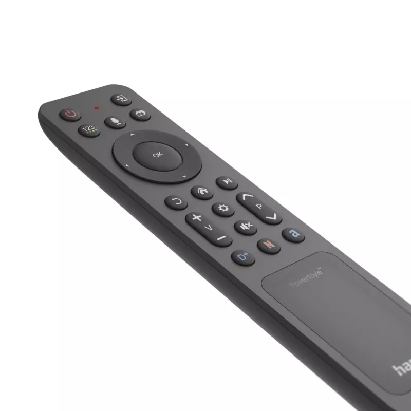 Hama 00221058 nuotolinio valdymo pultas Bluetooth TV mygtukai