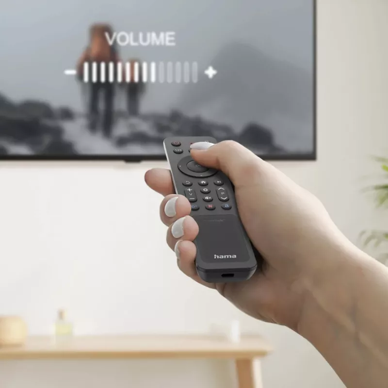 Hama 00221058 nuotolinio valdymo pultas Bluetooth TV mygtukai