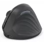 Hama EWM-600R vertikali pelė Office RF belaidė + Bluetooth optinė 1800 DPI