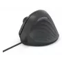 Hama ECM-500R vertikali laidinė pelė, USB-A, optinė, 1800 DPI, dešinei rankai