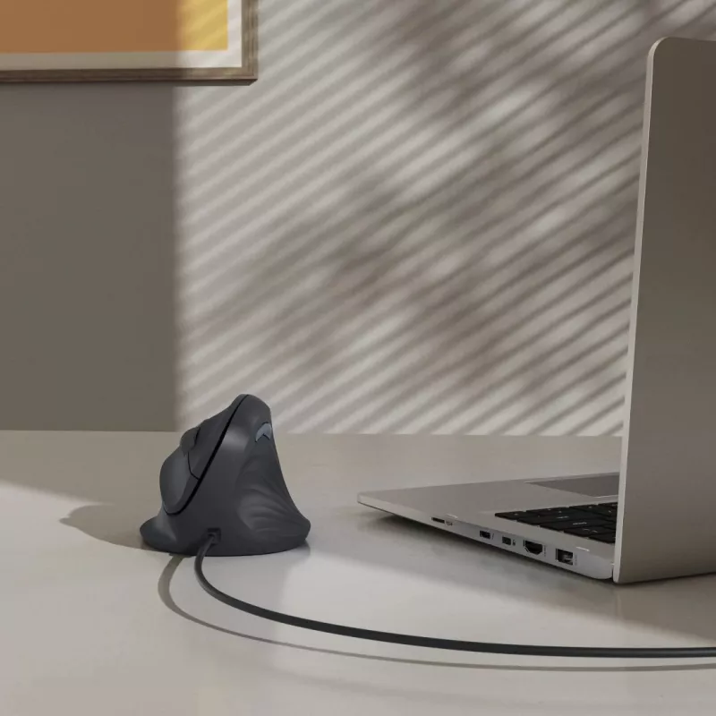 Hama ECM-500R vertikali laidinė pelė, USB-A, optinė, 1800 DPI, dešinei rankai