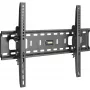 Sieninis laikiklis InLine 23117A TFT LED Plasma 32-70 col.