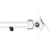 InLine Slatwall monitor laikiklis ilgas baltas 8 kg 17 colių