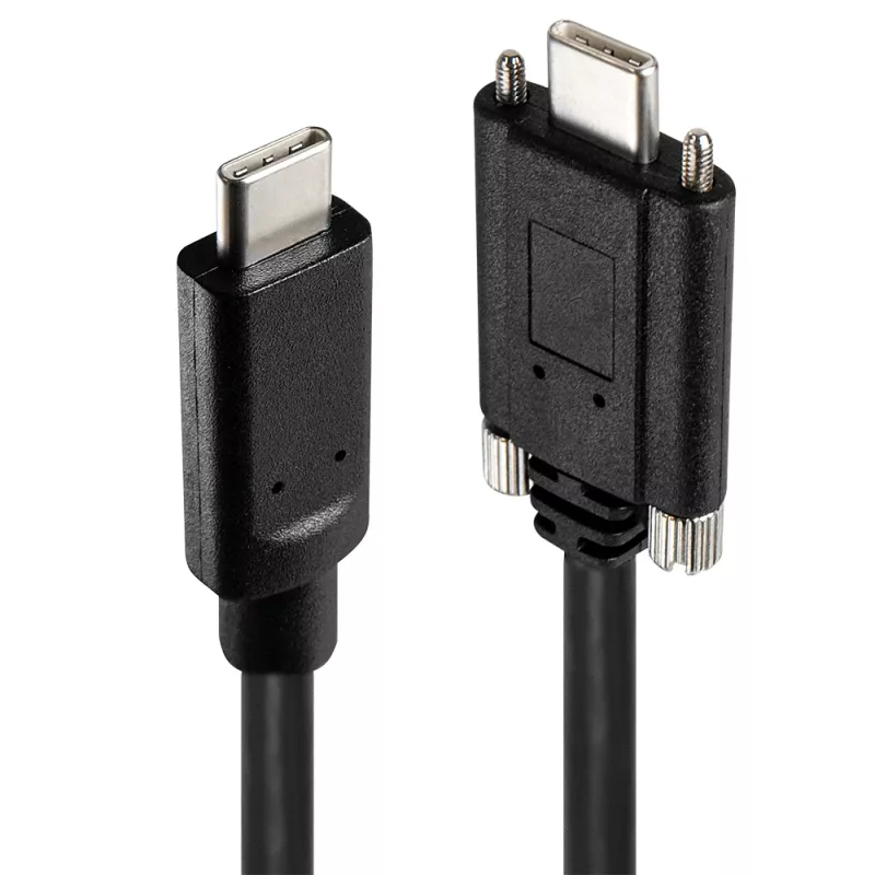 USB šakotuvas Lindy 4 prievadų USB 3.2 Gen 2 Type C metalinis korpusas