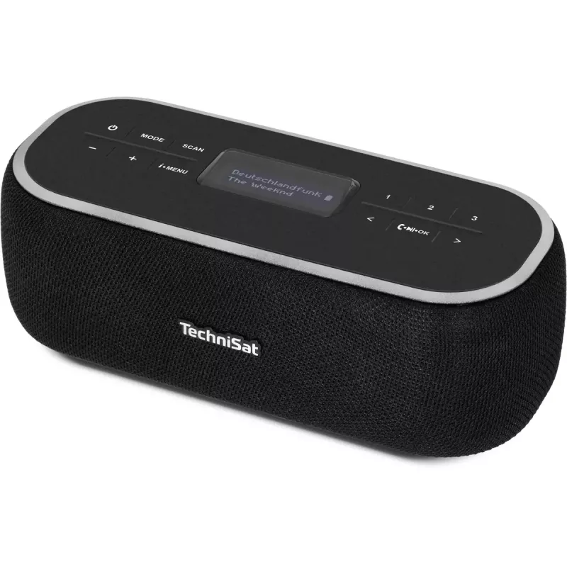 Nešiojamas radijo imtuvas TechniSat 0000/3968