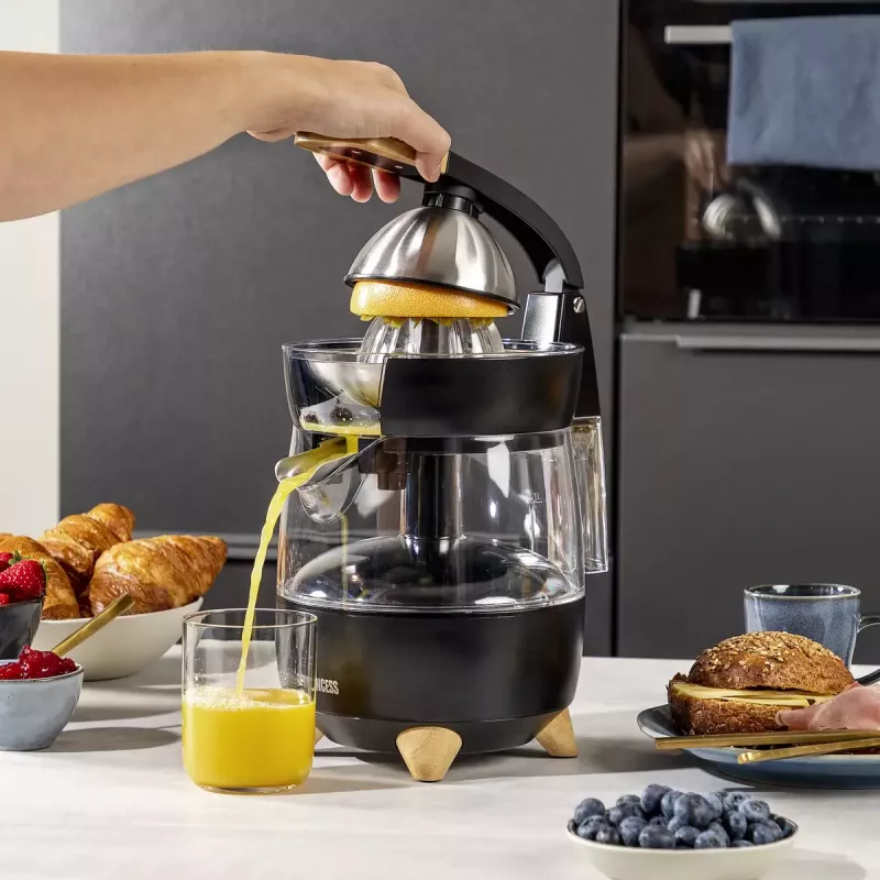 Citrusinė spaudė Princess 201862 juoda permatoma 1L 300W